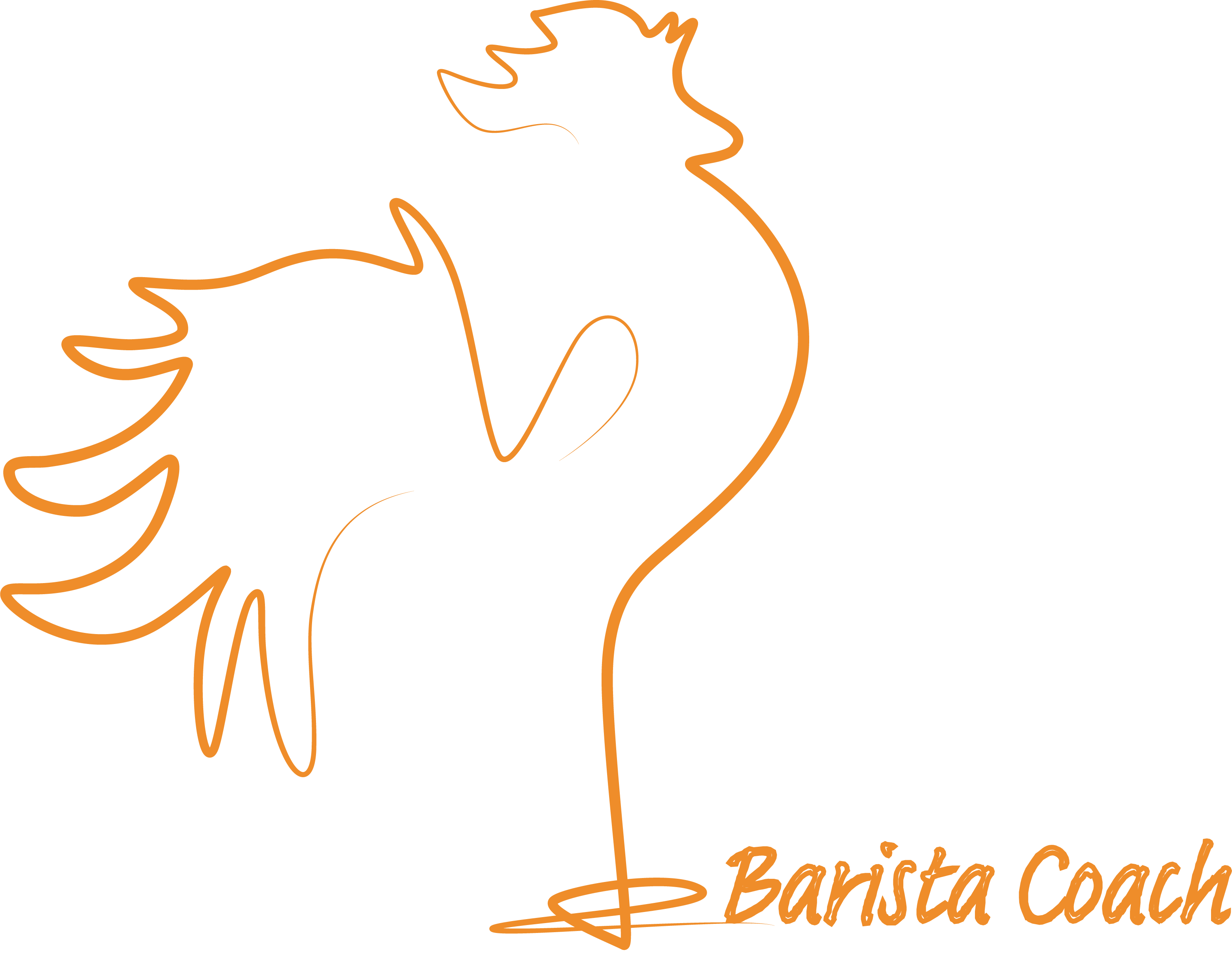 Logo Barista Coach